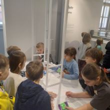 616013146 1523155779393827 n