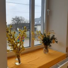 661497675 1586193616423376 n