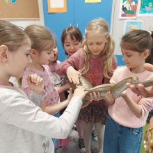 672148911 1598896841819720 n