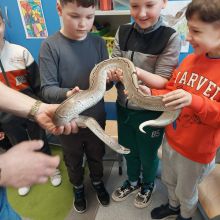 672183067 1598896791819725 n