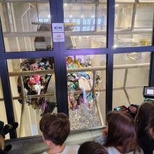 646369870 1560380522338019 n