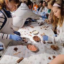 646382984 1560384999004238 n