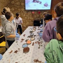 646386323 1560383685671036 n